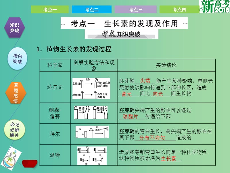 高考生物总复习第九单元植物的激素调节课件.ppt_第2页