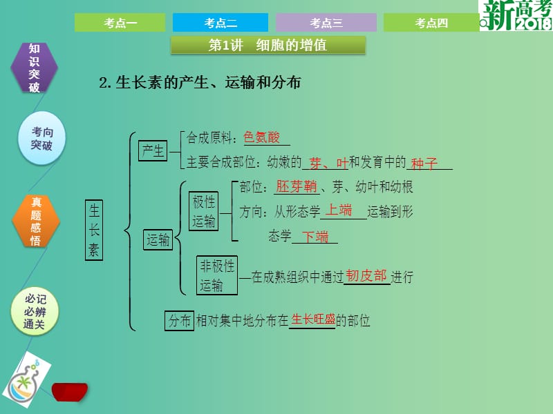 高考生物总复习第九单元植物的激素调节课件.ppt_第3页