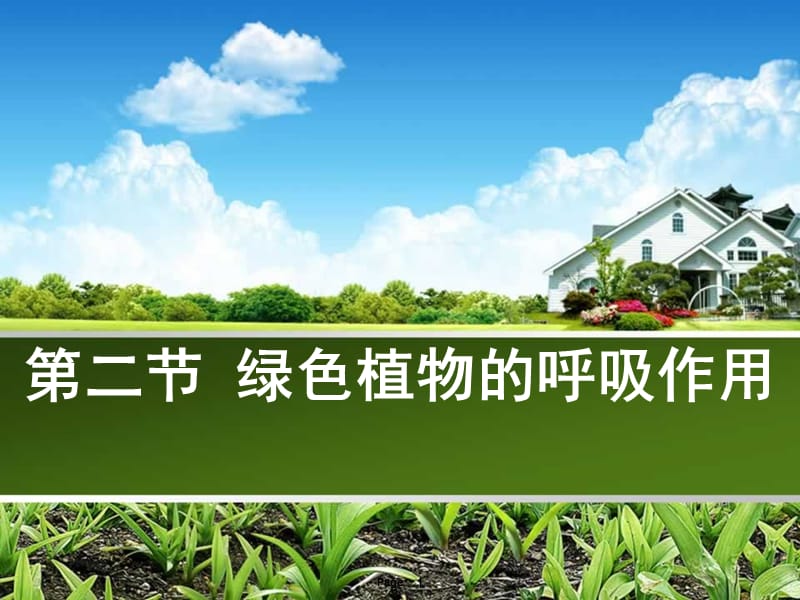 《绿色植物的呼吸作用》课件.ppt_第1页