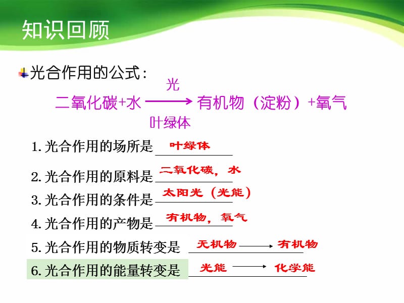 《绿色植物的呼吸作用》课件.ppt_第2页