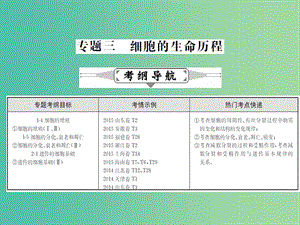 高三生物二輪復(fù)習(xí) 專題精講三 細(xì)胞的生命歷程 第1講 細(xì)胞的增殖和受精作用課件.ppt