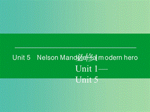 高考英語一輪復習 Unit5 Nelson Mandela a modern hero課件 新人教版必修1 (2).ppt