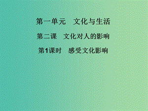 高中政治 第二課 第1課時 感受文化影響課件 新人教版必修3.ppt