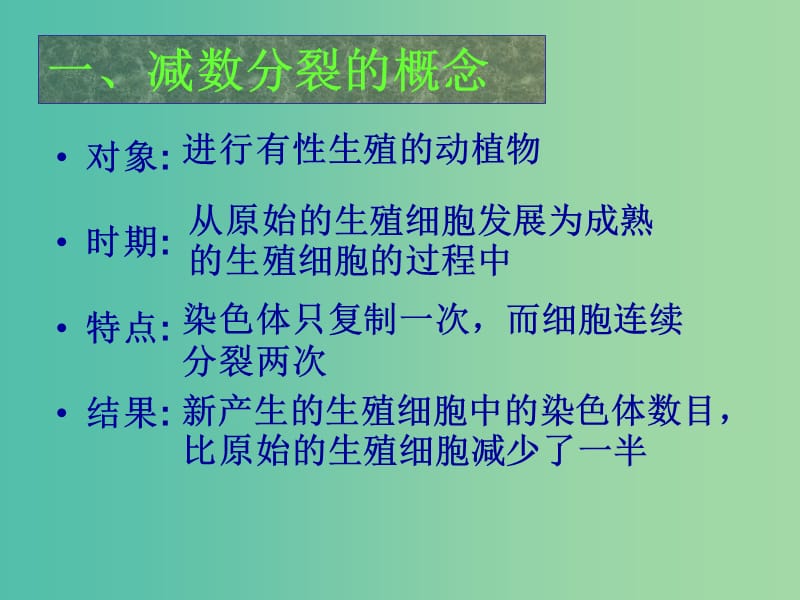 高中生物 2.1 减数分裂和受精作用课件.ppt_第3页