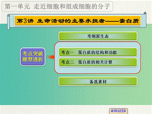 高考生物一輪復(fù)習(xí) 第一單元 第3講 生命活動的主要承擔者-蛋白質(zhì)課件.ppt