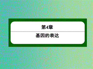 高中生物 4-2 基因對性狀的控制課件 新人教版必修2.ppt