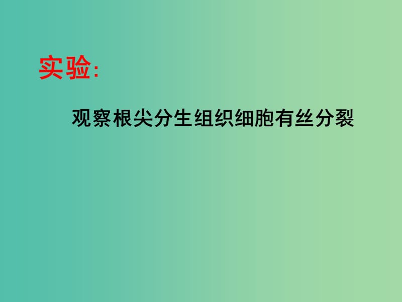 高中生物《第六章 实验 有丝分裂》课件 新人教版必修1.ppt_第1页