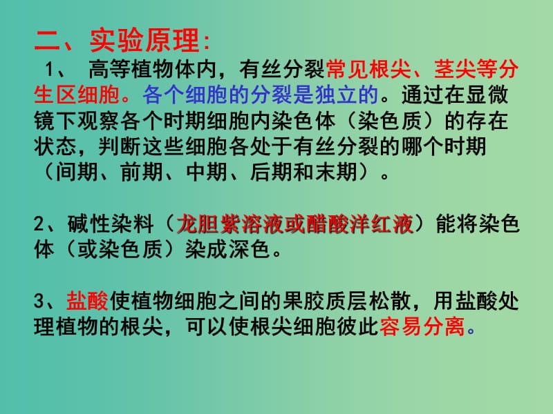 高中生物《第六章 实验 有丝分裂》课件 新人教版必修1.ppt_第3页