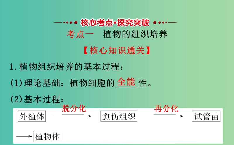 高考生物一轮复习 专题3 植物组织培养和酶的应用课件 新人教版选修1.ppt_第3页