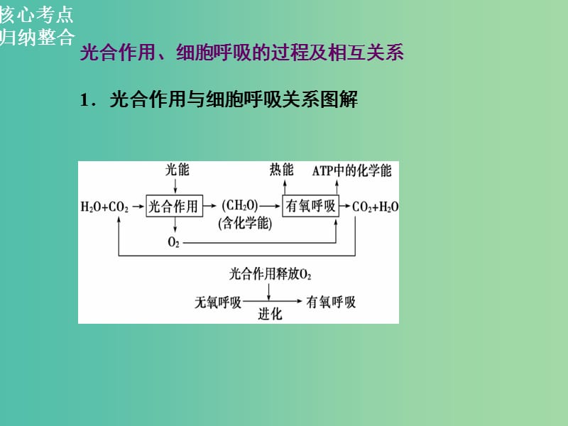 高三生物二轮复习 第一部分 知识落实篇 专题二 细胞的代谢 第2讲 光合作用和细胞呼吸课件.ppt_第2页