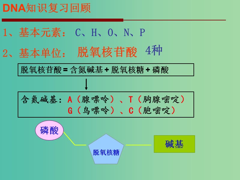 高中生物 第四章 第2节《DNA分子的结构和复制》课件 苏教版必修2.ppt_第2页