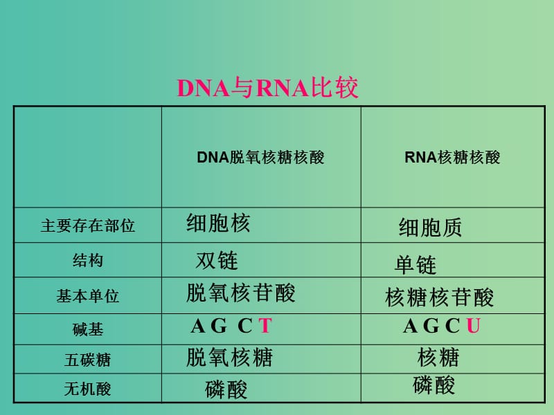 高中生物《4.1 基因指导蛋白质的合成》课件 新人教版必修2 .ppt_第3页