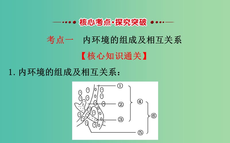 高考生物一轮复习 第1章 人体的内环境与稳态课件 新人教版必修3.ppt_第3页