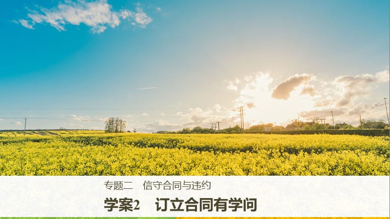 高中政治专题二信守合同与违约2订立合同有学问课件新人教版.ppt_第1页