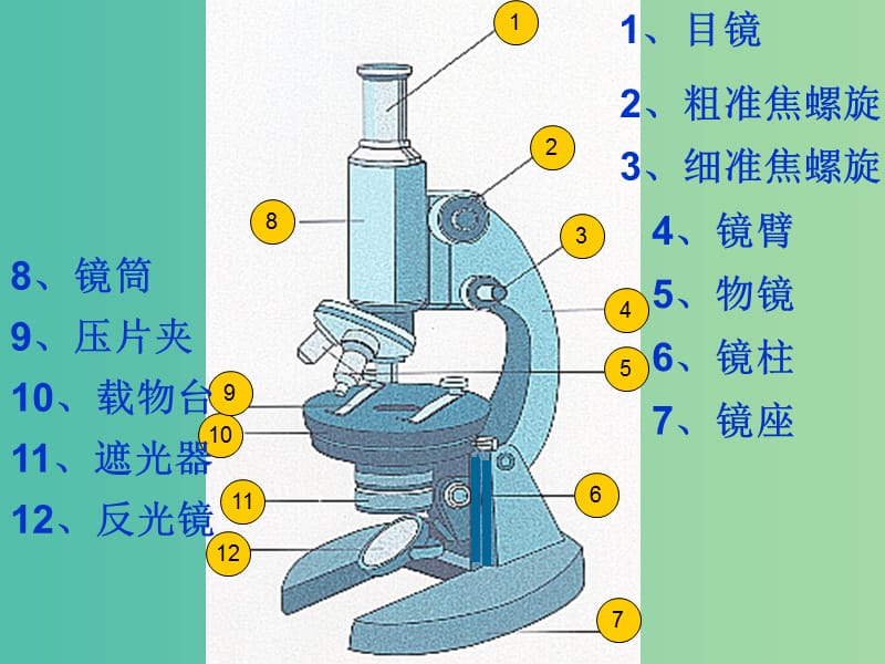 高中生物第一章走近细胞1.2细胞的多样性和统一性第2课时教学设计新人教版.ppt_第2页