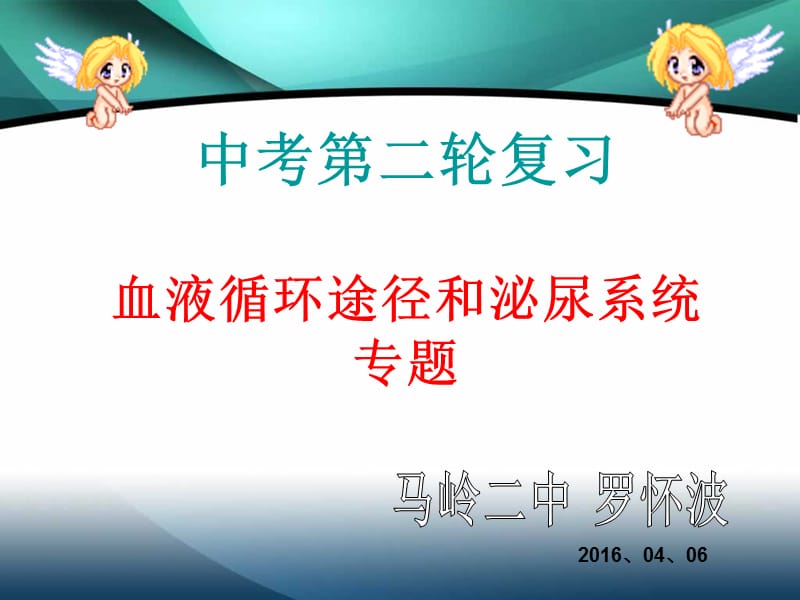 2016生物复习课件(循环系统、泌尿系统).ppt_第1页