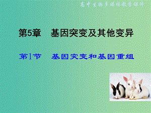 高中生物 5.1 基因突變和基因重組課件 新人教版必修2.ppt