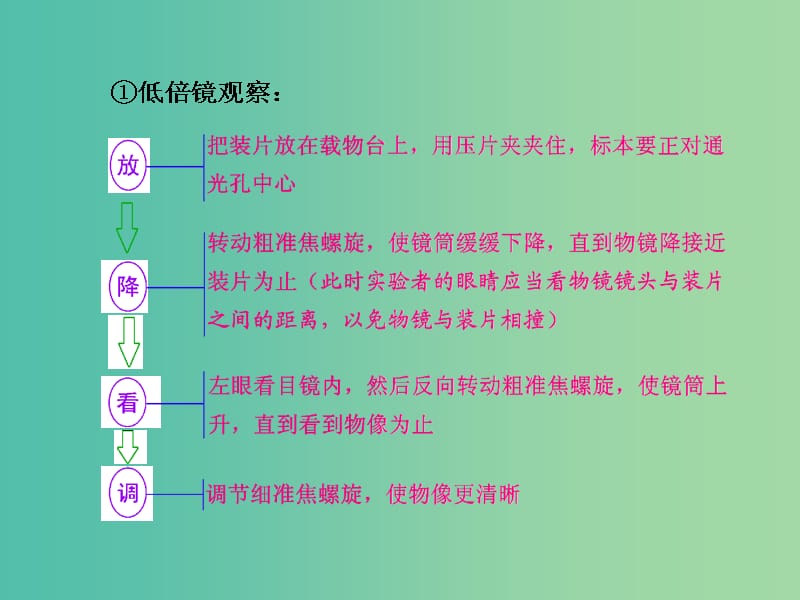 高三生物一轮复习 附录 实验基础知识和答题模板课件.ppt_第3页