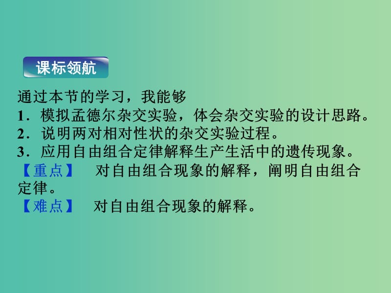 高中生物第一章基因工程第二节自由组合定律课件浙科版.ppt_第3页