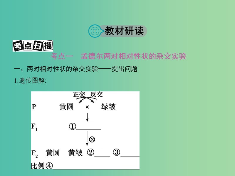 高考生物一轮复习遗传与进化第6单元遗传的基本规律第17讲基因的自由组合定律课件.ppt_第2页