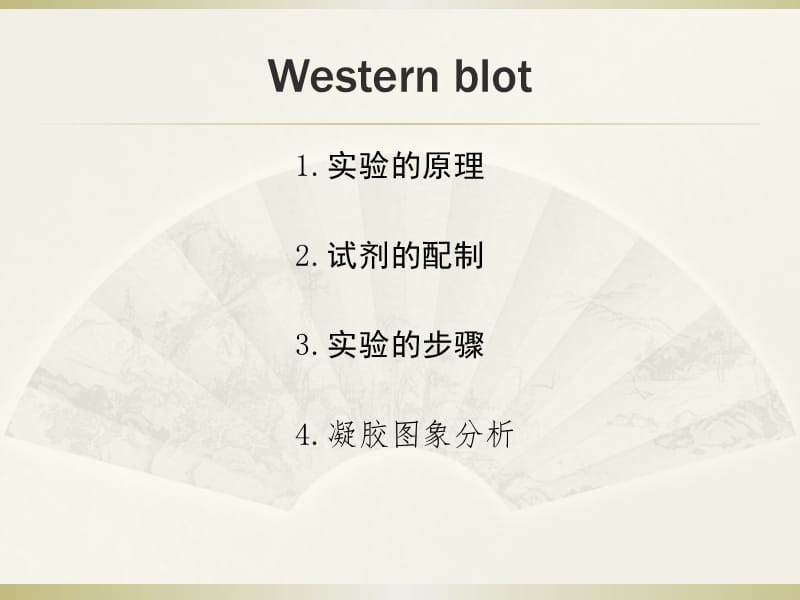 westernblot总结前人的经验.ppt_第1页