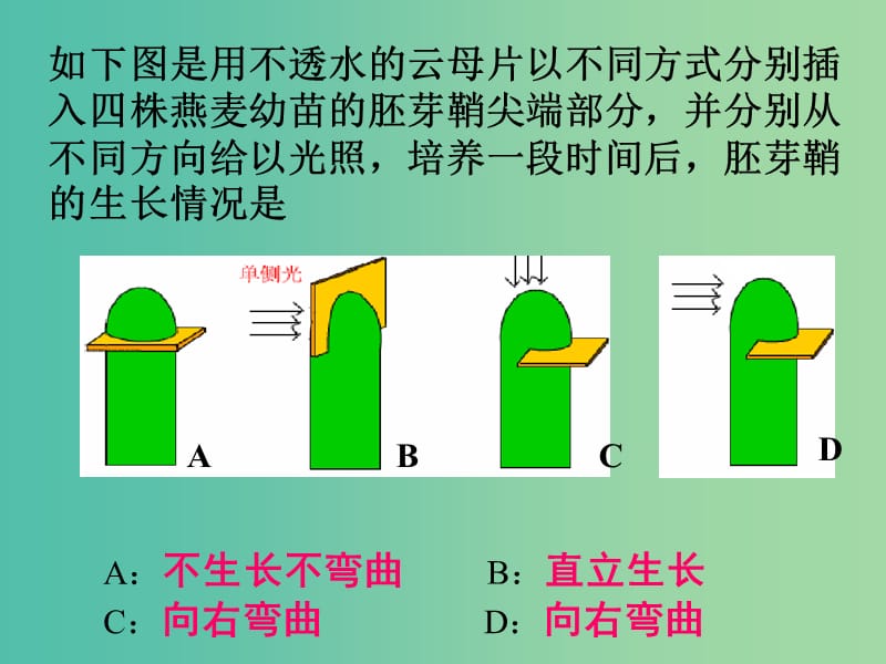 高中生物 第一章 第1节 植物激素课件 浙科版必修3.ppt_第2页