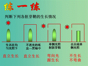 高中生物 第一章 第1節(jié) 植物激素課件 浙科版必修3.ppt