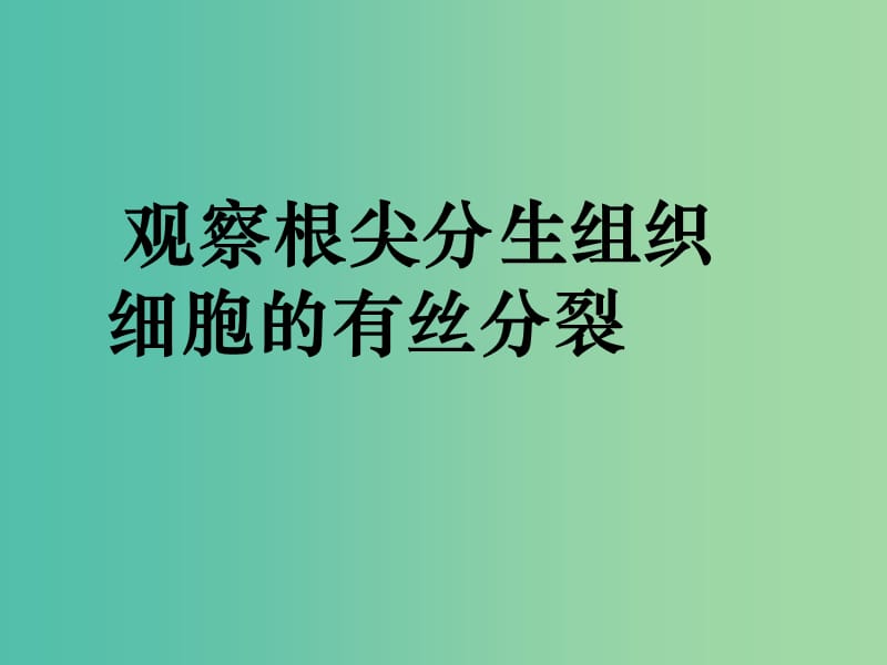 高中生物 有丝分裂实验课件 新人教版必修1.ppt_第1页