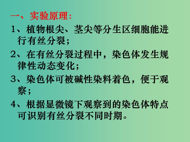 高中生物 有丝分裂实验课件 新人教版必修1.ppt_第2页