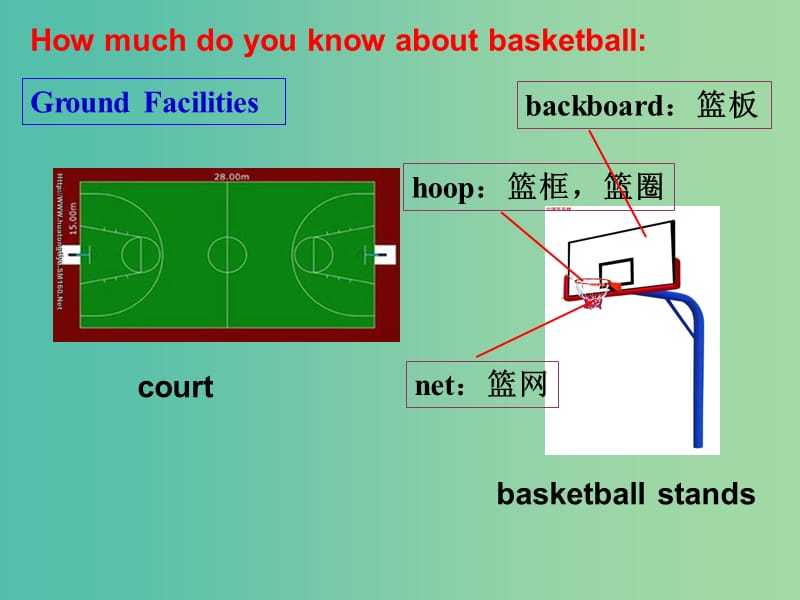 高中英语 Module1 Introduction课件 新人教版选修7.ppt_第2页