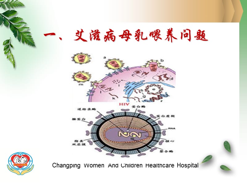 传染病母亲的母乳喂养课件.ppt_第3页