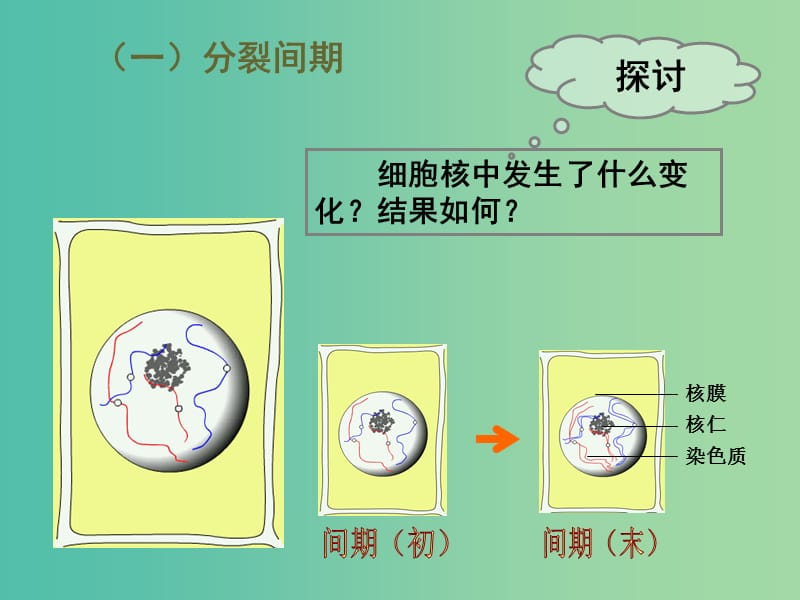 高中生物第六章细胞的生命历程6.1细胞增殖2课件新人教版.ppt_第3页