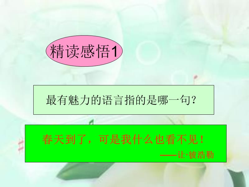 《语言的魅力》优秀教案.ppt_第3页