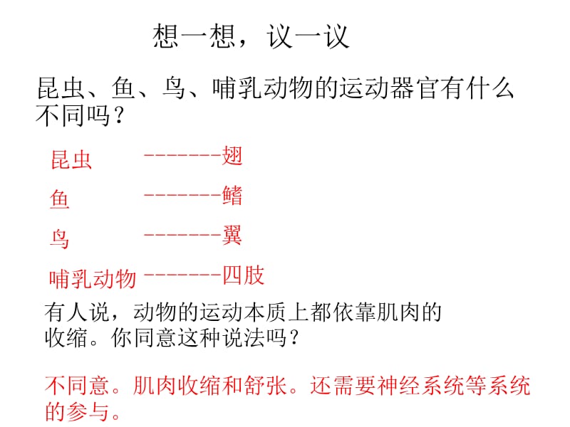 《动物的运动》PPT课件.ppt_第2页