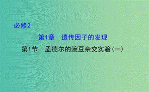 高三生物第一輪復習 第1章 第1節(jié) 孟德爾的豌豆雜交實驗（一）課件 新人教版必修2.ppt