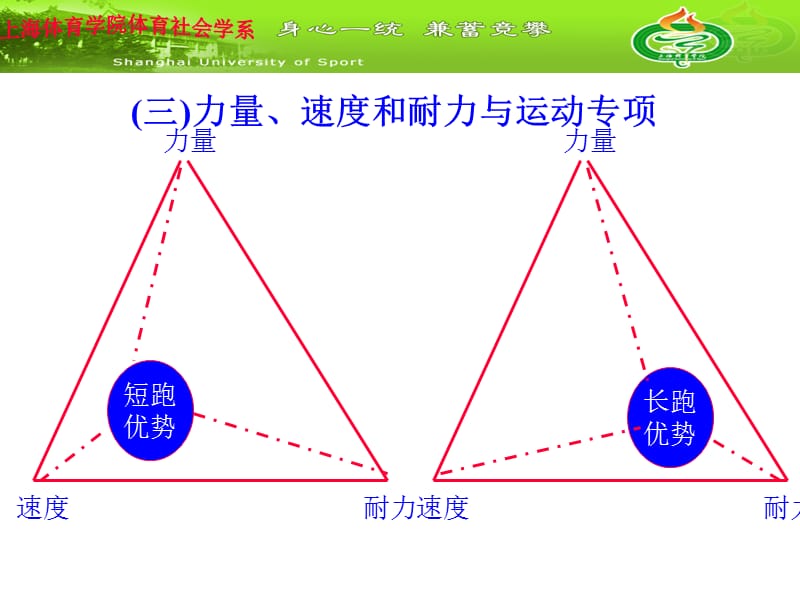 《体能训练新探》PPT课件.ppt_第3页