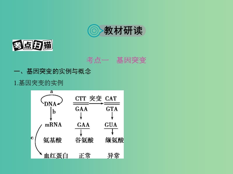 高考生物一轮复习遗传与进化第7单元生物的变异育种与进化第20讲基因突变与基因重组课件.ppt_第2页