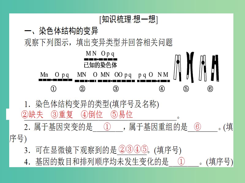 高考生物一轮复习 第5章 基因突变及其他变异 第2节 染色体变异课件 新人教版必修2.ppt_第3页