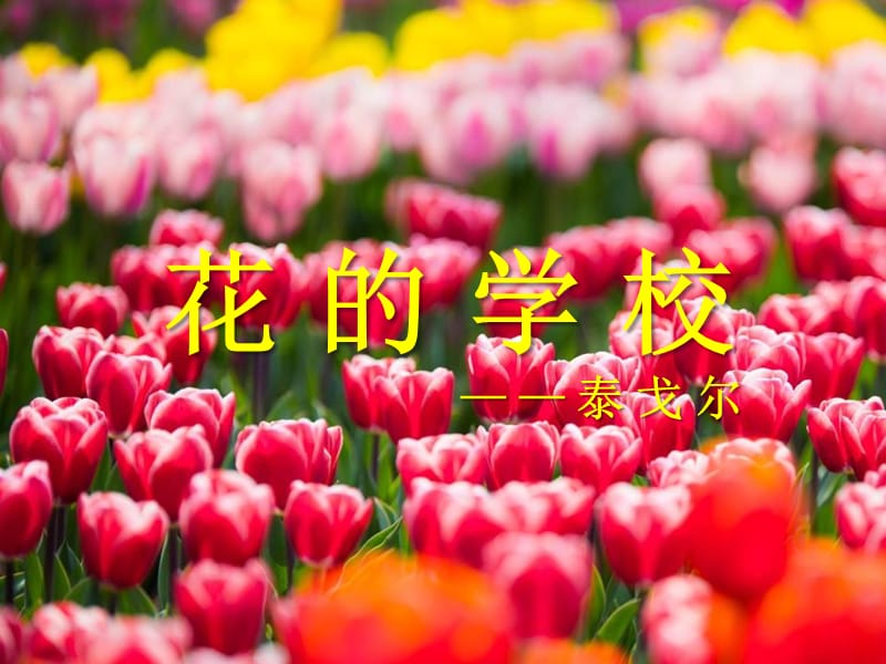 《花的学校》优质课件.ppt_第1页