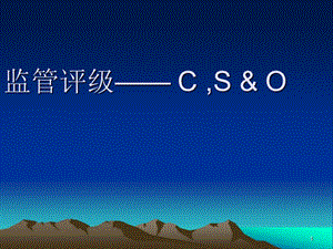 商業(yè)銀行評級指標資本市場風險和其他項ppt課件