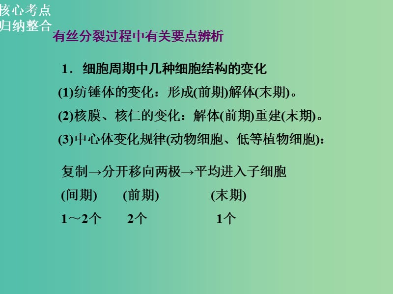 高三生物二轮复习 第一部分 知识落实篇 专题三 细胞的生命历程 第1讲 细胞增殖和受精作用课件.ppt_第2页