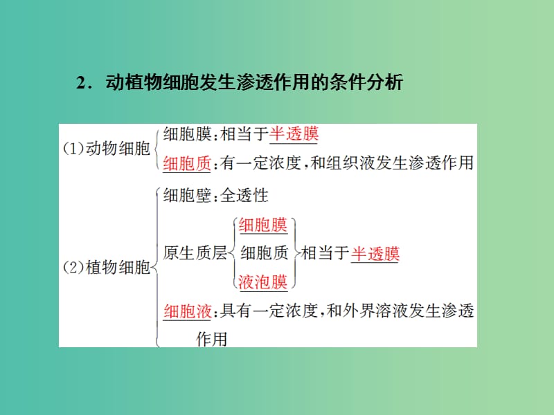 高考生物一轮复习 第二单元 第3讲 细胞的物质输入和输出课件.ppt_第3页