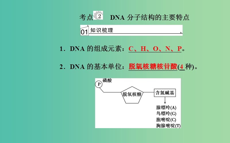 高考生物专题七遗传的分子基础考点2DNA分子结构的主要特点课件.ppt_第2页