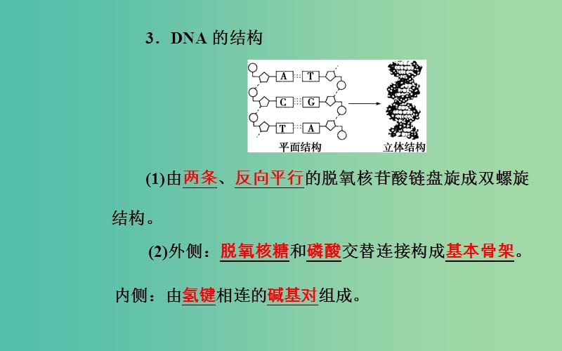 高考生物专题七遗传的分子基础考点2DNA分子结构的主要特点课件.ppt_第3页