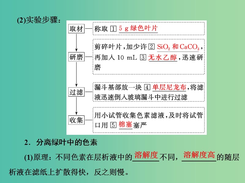 高中生物第5章细胞的能量供应和利用第4节能量之源--光与光合作用第1课时捕获光能的色素和结构课件新人教版.ppt_第3页