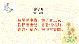 《回憶我的母親》優(yōu)秀課件.ppt