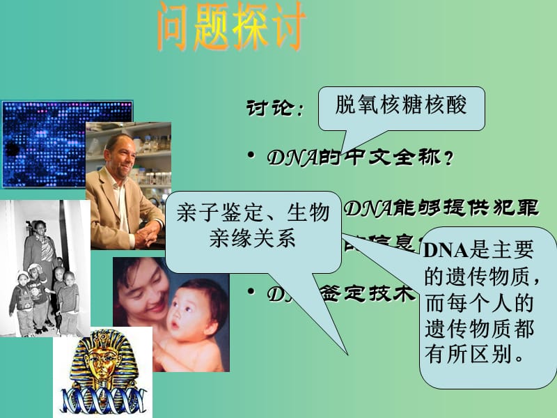 高中生物第二章组成细胞的分子2.3遗传信息的携带者-核酸课件2新人教版.ppt_第1页