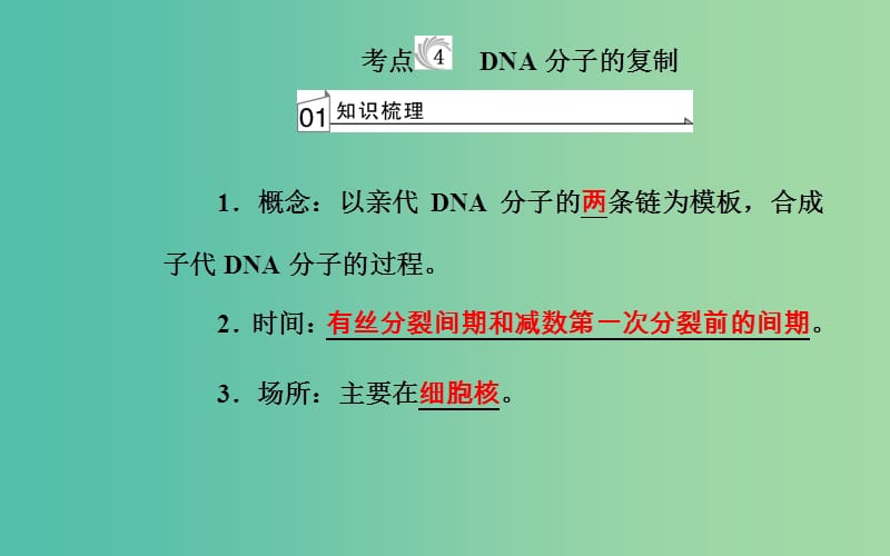 高考生物专题七遗传的分子基础考点4DNA分子的复制课件.ppt_第2页