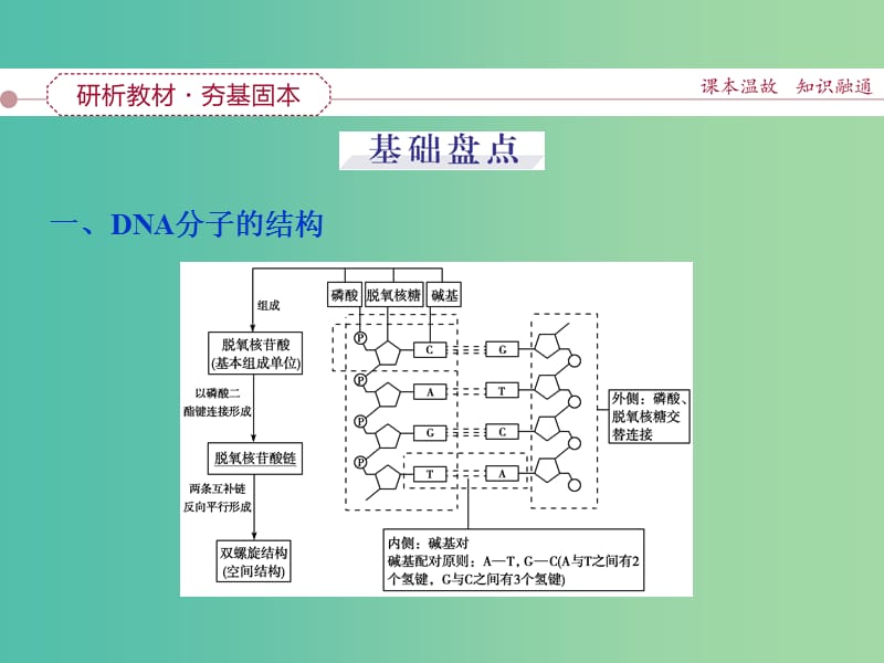 高考生物一轮复习 第六单元 第18讲 DNA分子结构课件.ppt_第3页