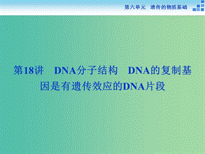 高考生物一輪復習 第六單元 第18講 DNA分子結(jié)構(gòu)課件.ppt